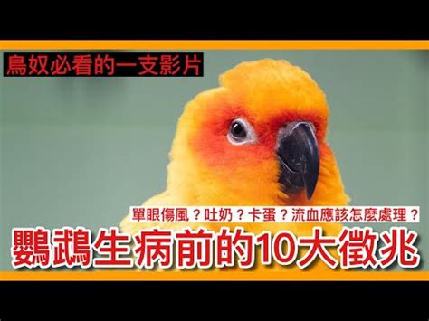 幼鳥突然死掉